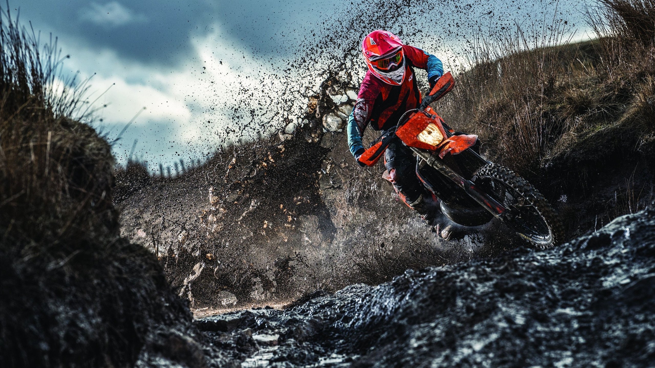 公牛冲垮雷霆，西亚卡姆在奥运周期关键战的接管密码